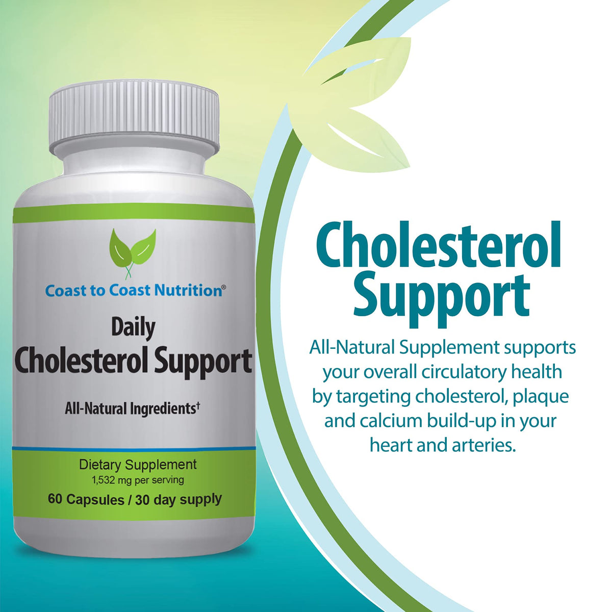 Coast to Coast Nutrition Cholesterol Support Supplement - Support Cardiovascular & Artery Performance, Target Bad LDL Levels & Plaque Calcium Buld-Up - Promote Circulation & Blood Flow - 60 Capsules