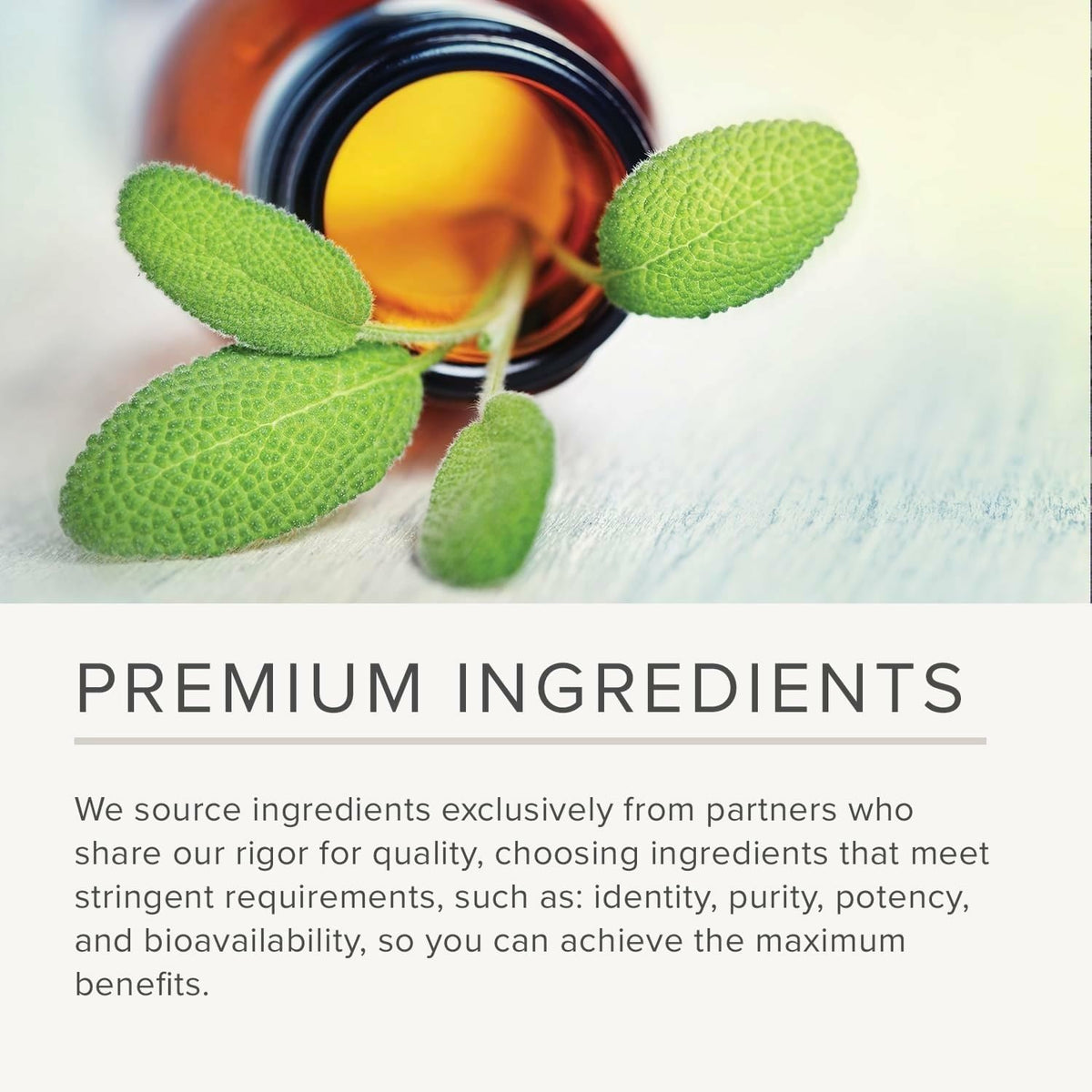 Integrative Therapeutics Petadolex - Brain Supplement for Healthy Blood Vessel Relaxation* - with Butterbur Extract - Gluten-Free & Dairy-Free - 60 Softgels (60 Servings)