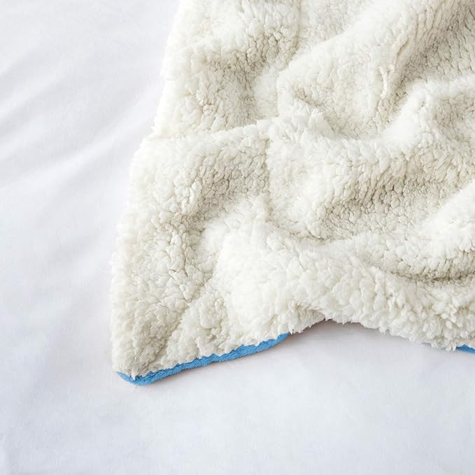 IR Imperial Rooms Sherpa Blankets Queen Size - Thick and Warm Blankets for Winter, Reversible Soft and Fuzzy Fluffy Queen Size Blanket for Bed, Light Blue, 90x90 Inches