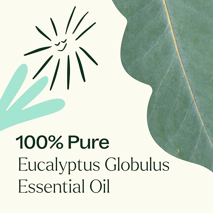 Plant Therapy Eucalyptus Globulus Essential Oil 100 mL (3.3 oz) for Diffuser, Skin, Hair, Aromatherapy DIYs, and Clear Breathing, 100% Pure, Undiluted, Therapeutic Grade
