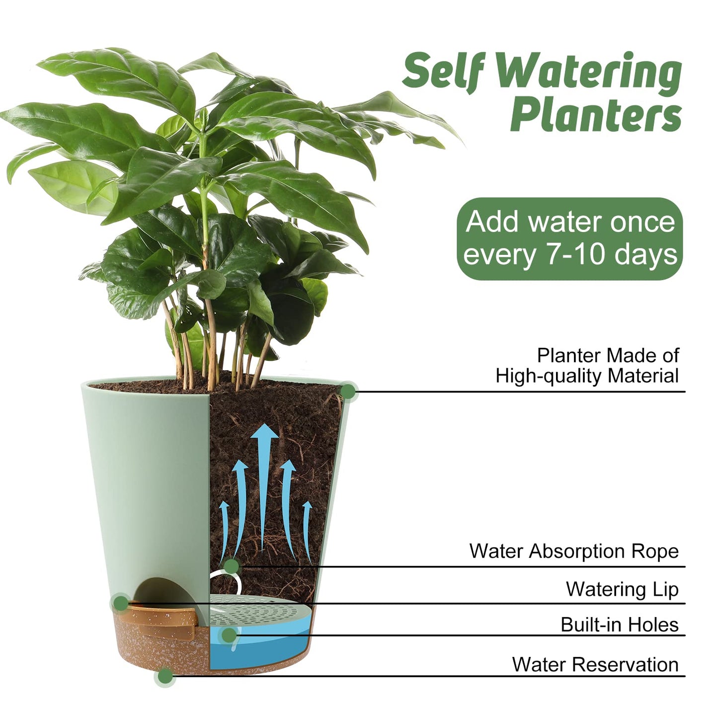 YNNICO Indoor Self Watering Planters with Drainage Holes and Saucers, 8, 7, 6.5, 6, 5.5, 5 Inches, Green, 6 Pots