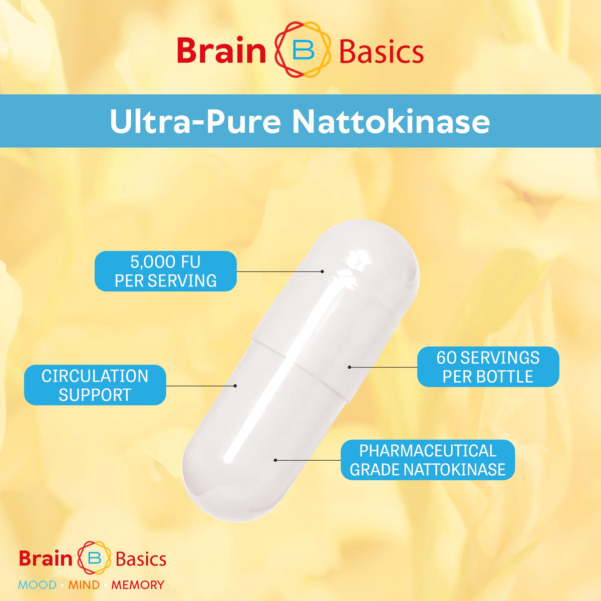 Brain Basic Ultra-Pure Nattokinase 5000 FU – 120 Capsules - Natural Blood Circulation Support with Highest Potency Available – Non-GMO, Vegan, Gluten Free
