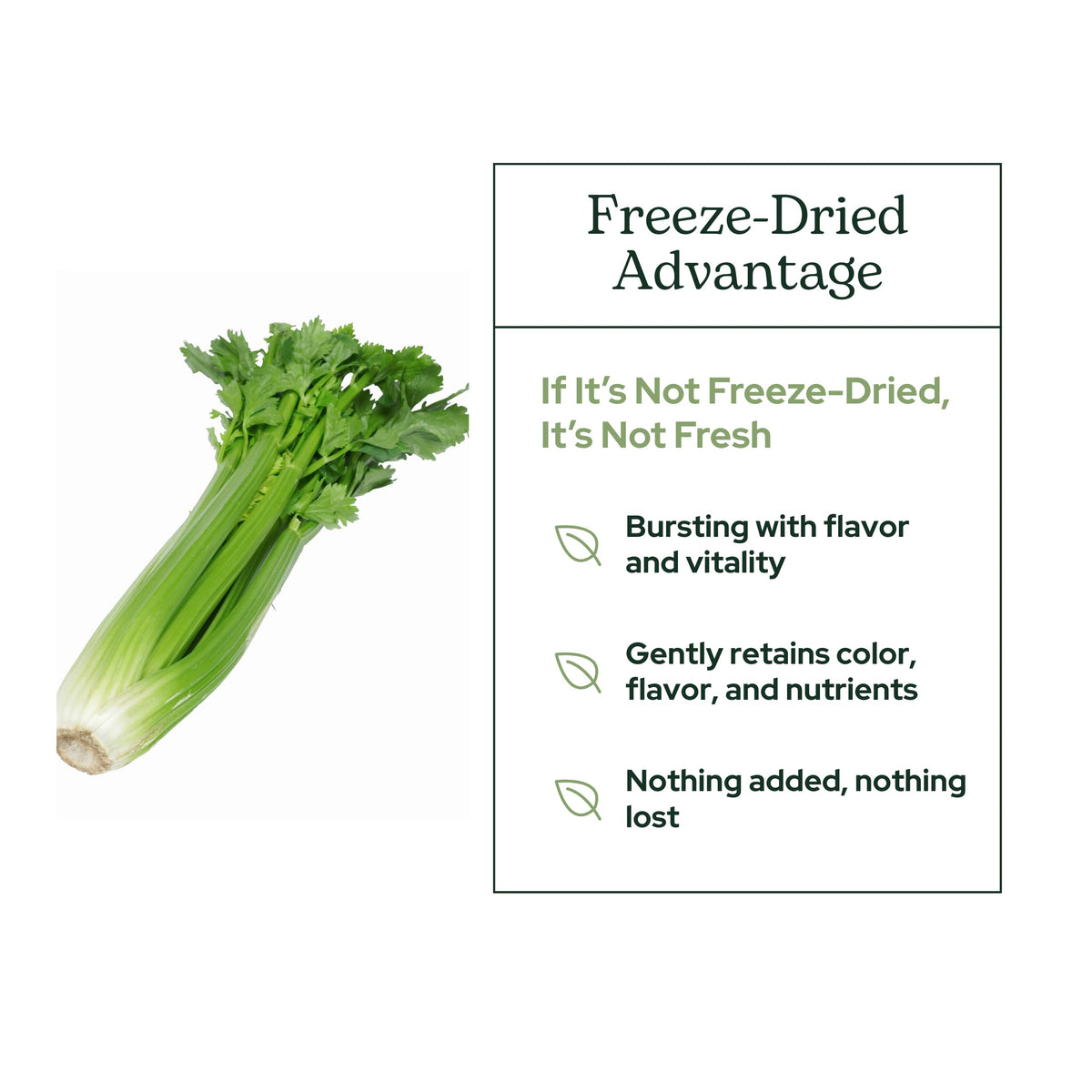 Eclectic Herb - Organic Celery Juice Powder | Nutritional Supplement | Hydration + Wellness Support, Vitamins + Minerals | Freeze Dried, USDA Organic, Non-GMO, Vegan, Gluten Free (3.2 oz | 90 g)