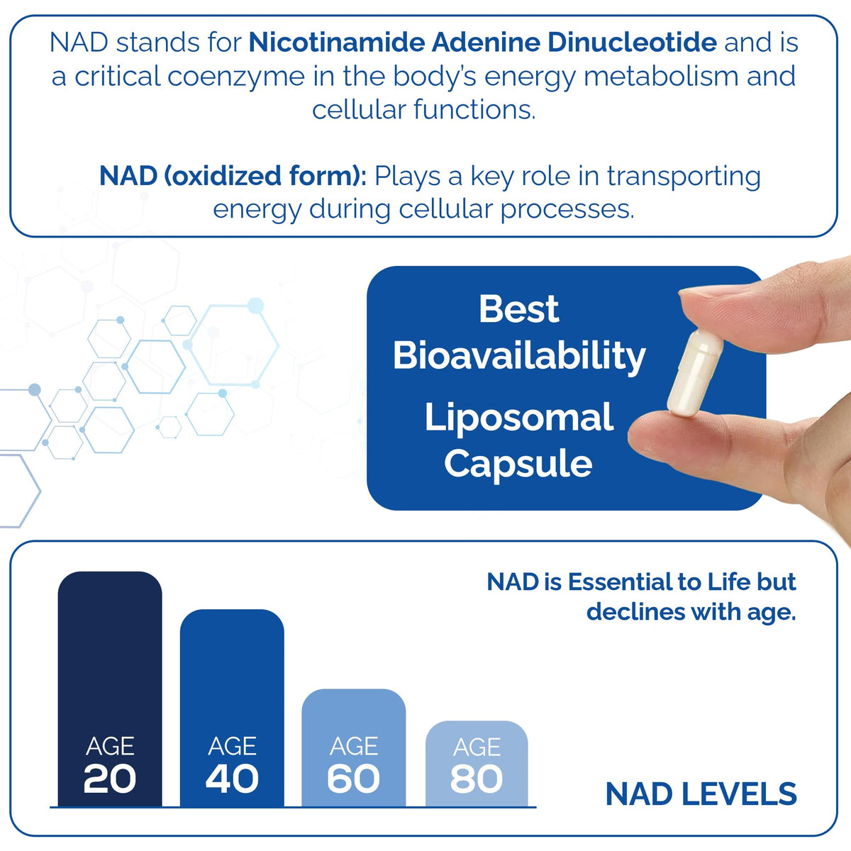 HARMONIFY NAD Supplement 60 Capsules, Proudly USA Company, Non-GMO & Gluten Free, 1 Month Serving, 1000 Mg Per Serving
