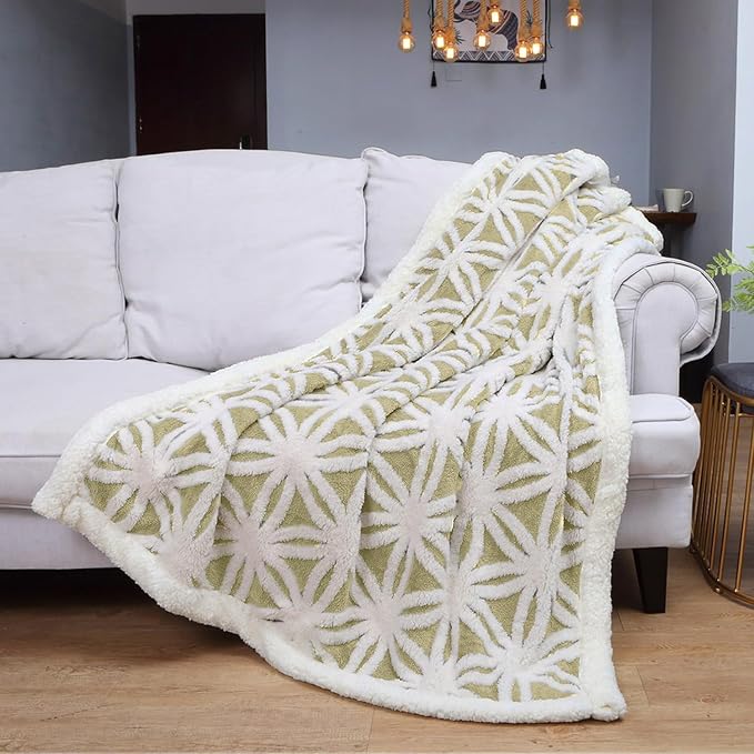 LOMAO Sherpa Fleece Blanket Fuzzy Soft Throw Blanket Dual Sided Blanket for Couch Sofa Bed (Fruit Green, 60''x80'')
