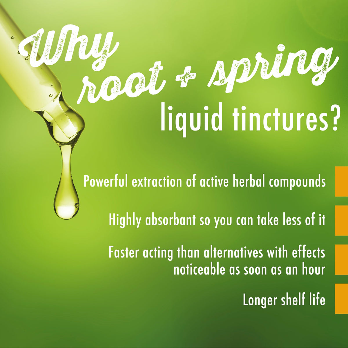 root + spring Dissolve Mass - Stasis Breaker - Herbal Tincture (Liquid Extract) Concentrate Formula with Dropper, Natural TCM Herb Blend Supplement 1 oz (Pack of 4)