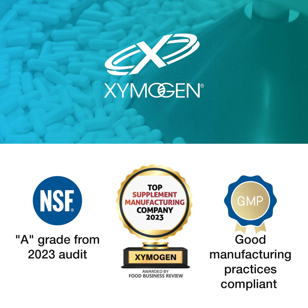 XYMOGEN ActivNutrients Performance - Multivitamin & Multimineral Formula - Energy, Immune & Wellness Support - Active B Vitamins & Chelated Minerals - Vegetarian, Non-GMO & Gluten-Free - 120 Capsules