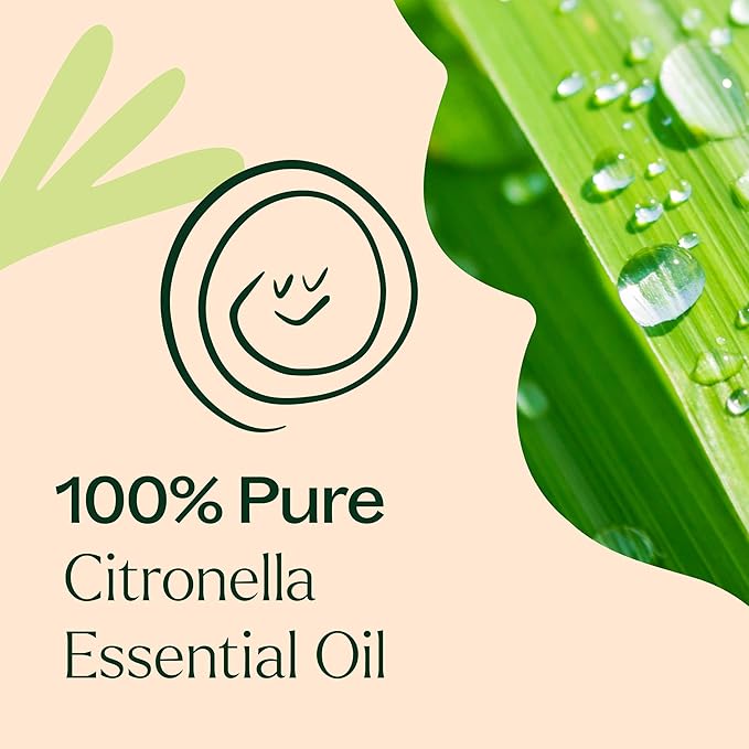 Plant Therapy Citronella Essential Oil 100 mL (3.3 oz) 100% Pure, Undiluted, Citronella Oil for Aromatherapy, Diffuser, Candle Making, Skin Care, Outdoors, Therapeutic Grade