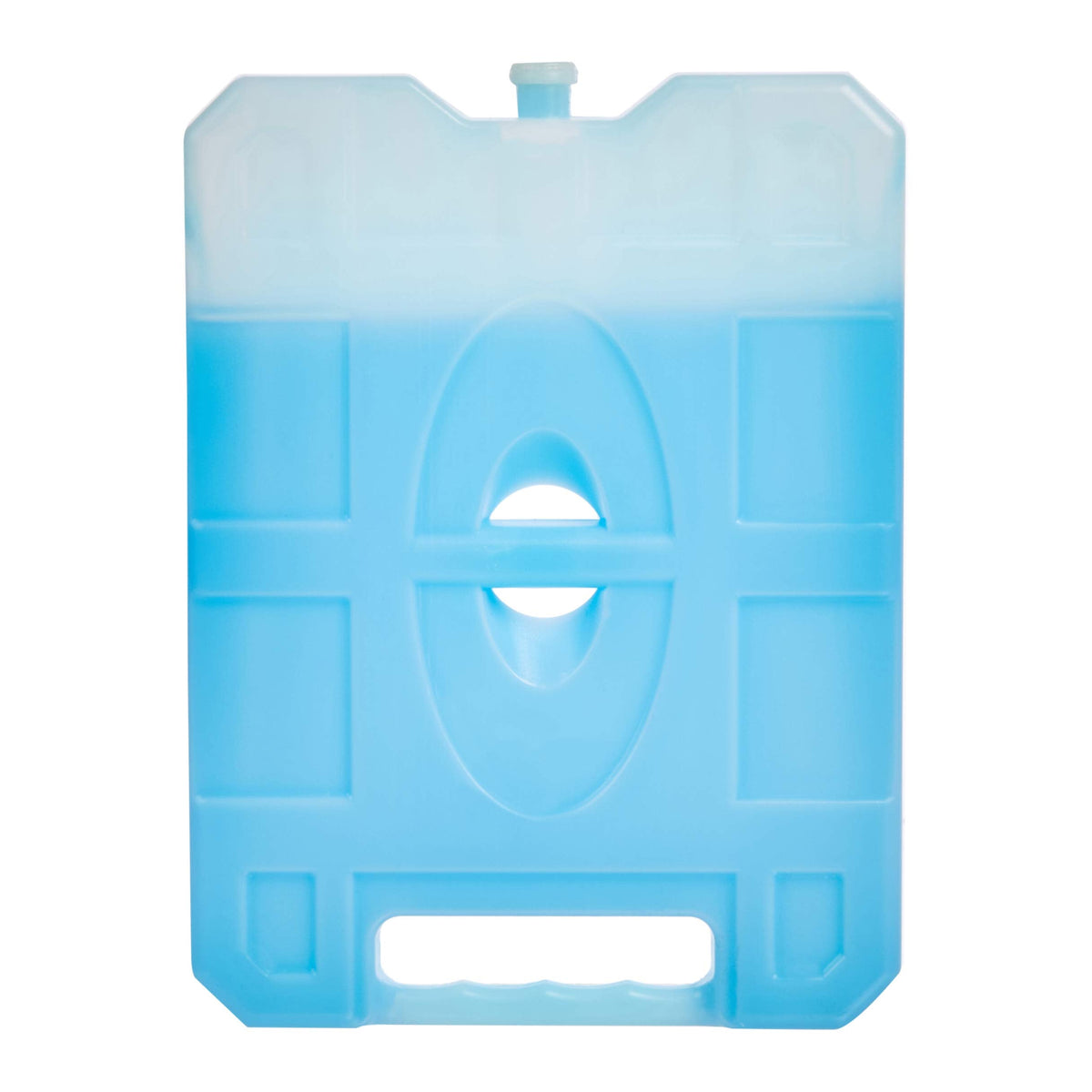 Amazon Basics Reusable Hard Sided Rectangular Ice Pack, Pack of 4, Large, Blue, 10.4" X 7.9" X 1.2"