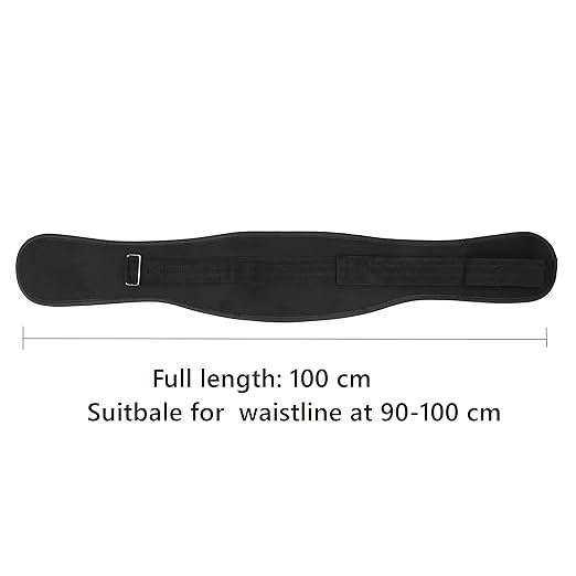 Back Support Lumbar Support Belt Lower Back Brace for Pain Relief Sciatica Herniated Disc Scoliosis Posture Correction Adjustable Mesh Support Straps for Men Women Fitness Waist Protection (Black, M)