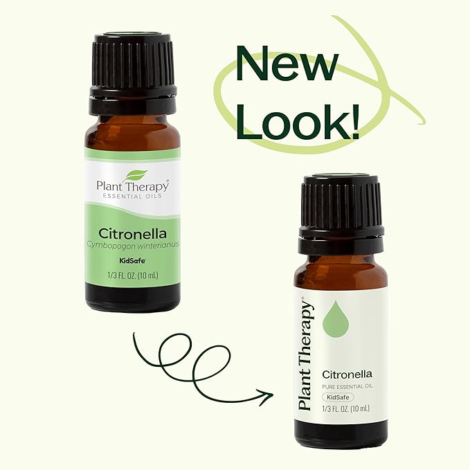 Plant Therapy Citronella Essential Oil 100 mL (3.3 oz) 100% Pure, Undiluted, Citronella Oil for Aromatherapy, Diffuser, Candle Making, Skin Care, Outdoors, Therapeutic Grade