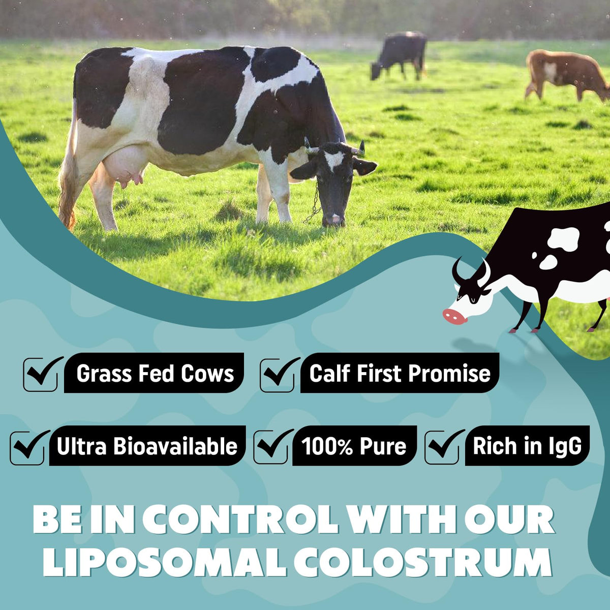 Marafiki Liposomal Bovine Colostrum Supplement - Grass Fed Colostrum Powder - High Bioavailability, Easy to Mix (60 Servings)