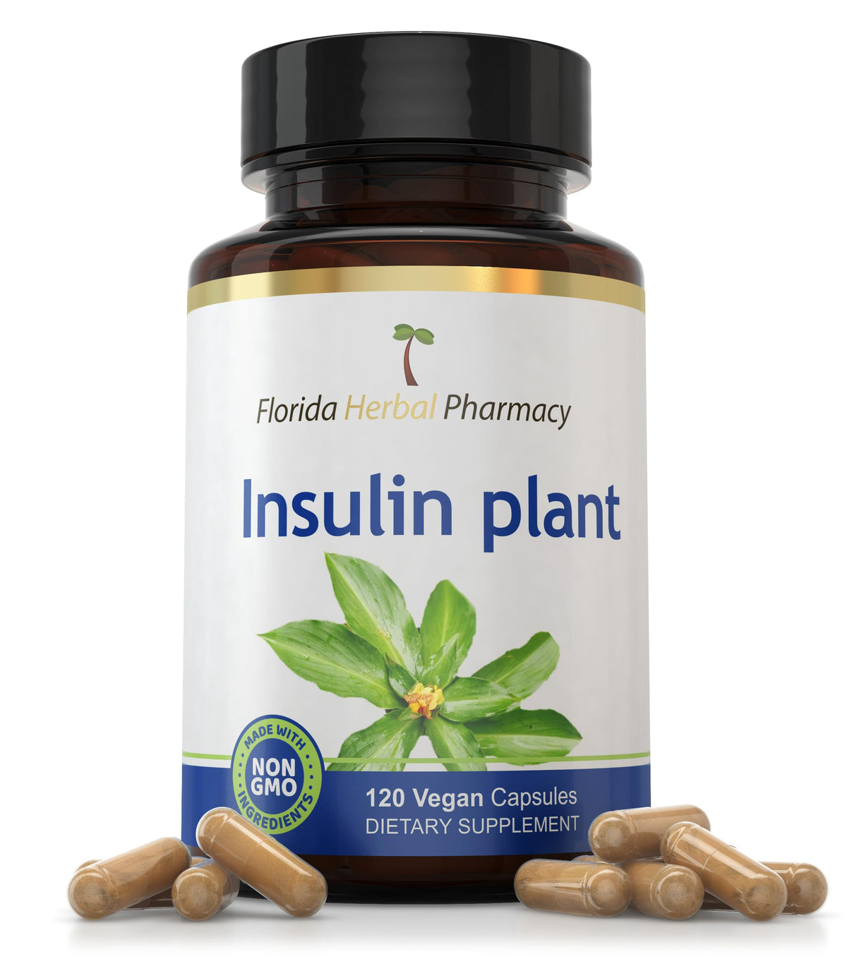 Florida Herbal Pharmacy, Insulin Plant Costus Igneus Leaf Extract Supplement Capsules 10:1 (120 Capsules), 4 Months Supply
