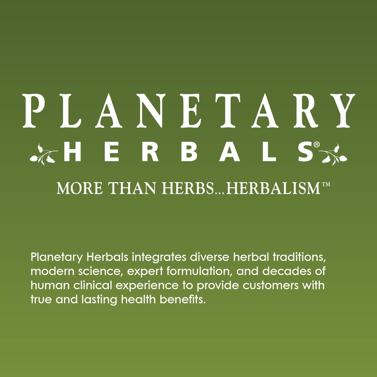 Planetary Herbals Rhodiola Rosea Extract Full Spectrum 327mg, Adaptogen for Physical & Mental Stamina,120 Tablets