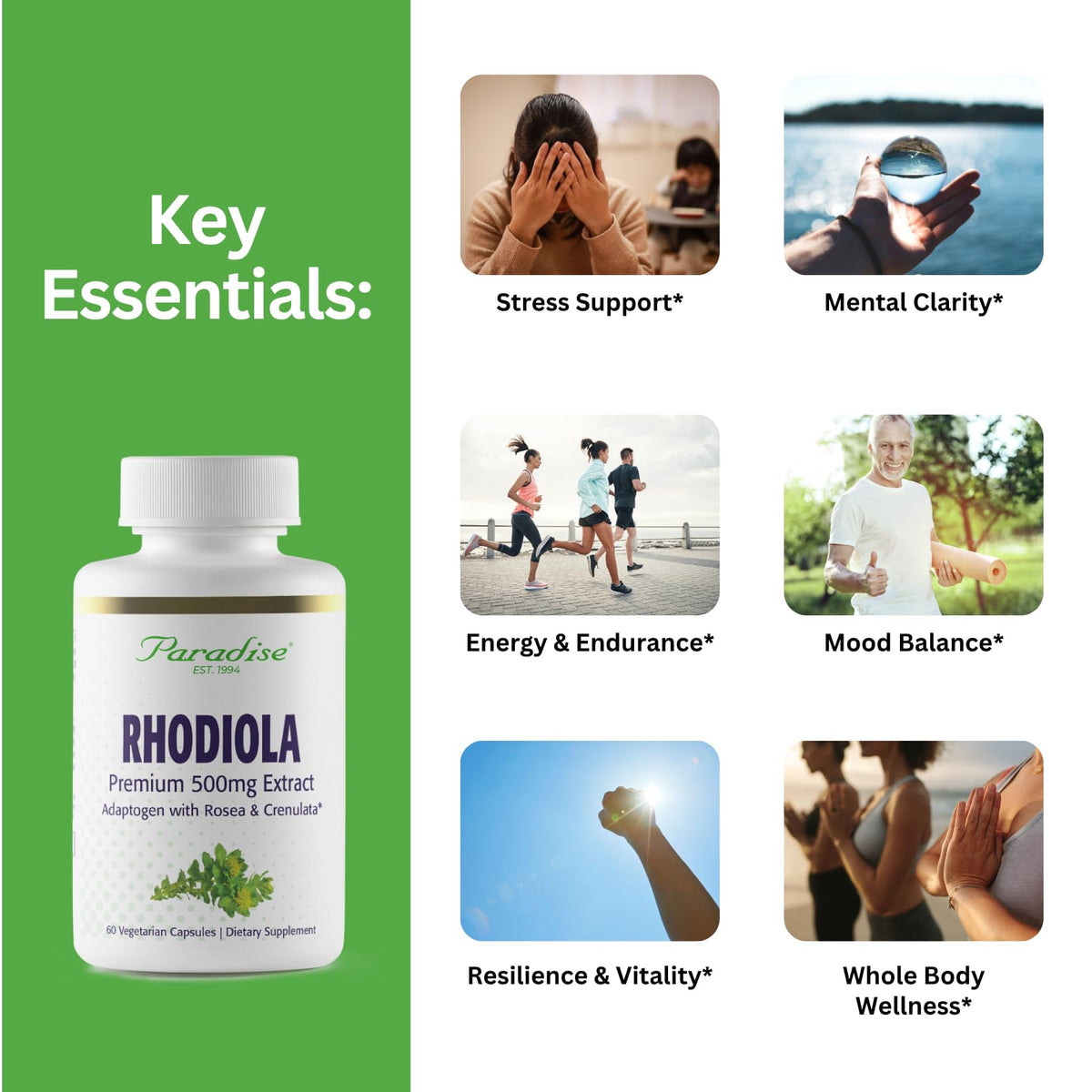 Paradise Herbs Rhodiola Extract 500mg, Super Potent Antioxidant, Ultra Pure, Vegan, Non-GMO, Gluten Free, 60 Vegetarian Capsules