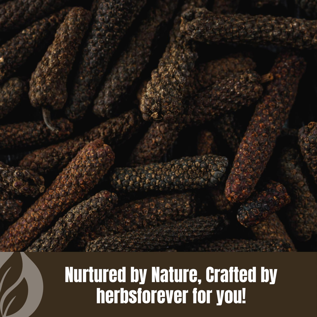 HerbsForever Pippali (Piper longum) Fruit, Powder |Cold Relief, Digestion & Gut Health Spices for Meat Seasoning| Wild Harvested-Non GMO, Vegan- 2X Potency,Ultra Clean,Steam Treated |230 GMS- ½LBS
