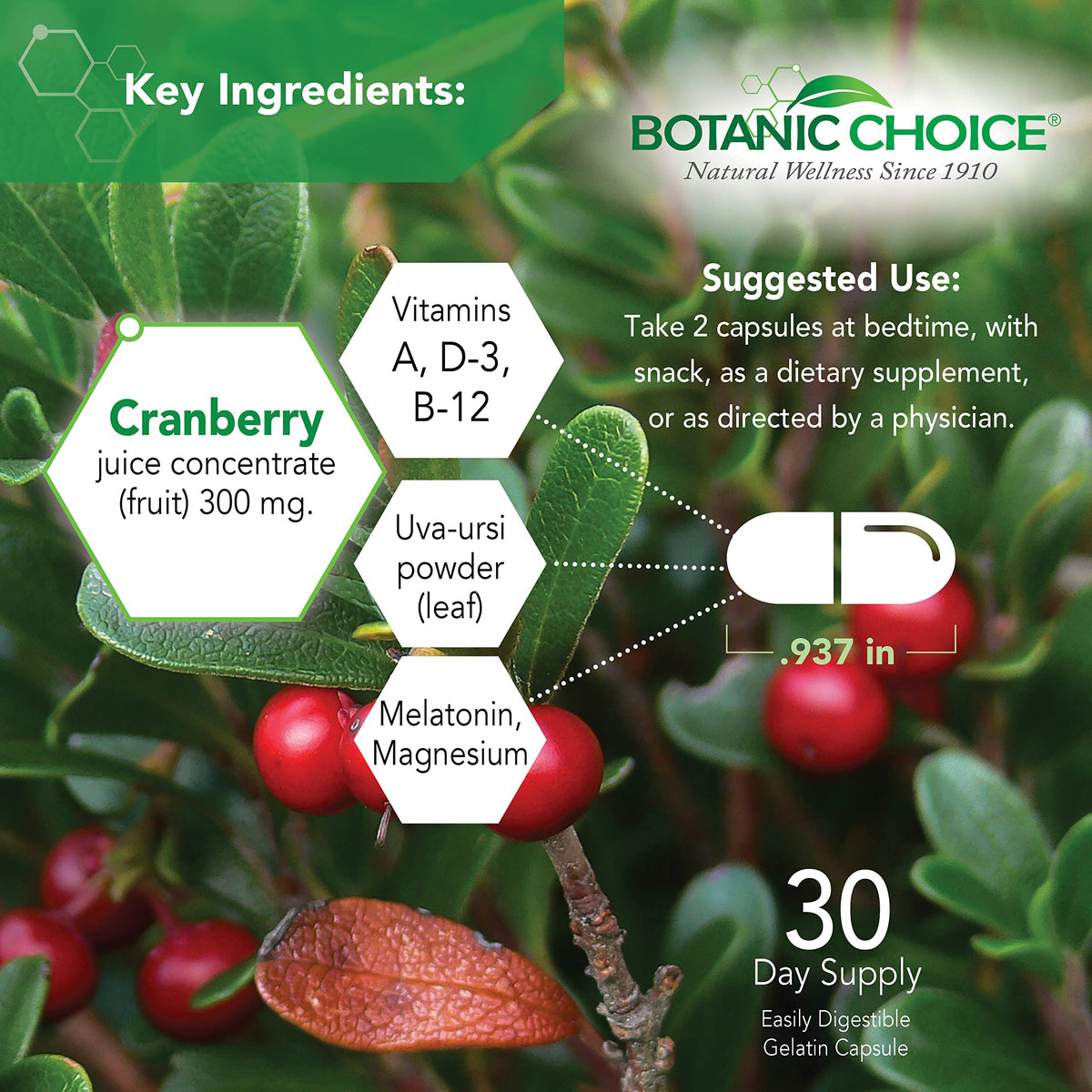 Botanic Choice Pro-Advanced Urinary Formula-Blend for Urinary Tract Health Support - Magnesium Cranberry Uva Ursi Damiana - 60 Capsules