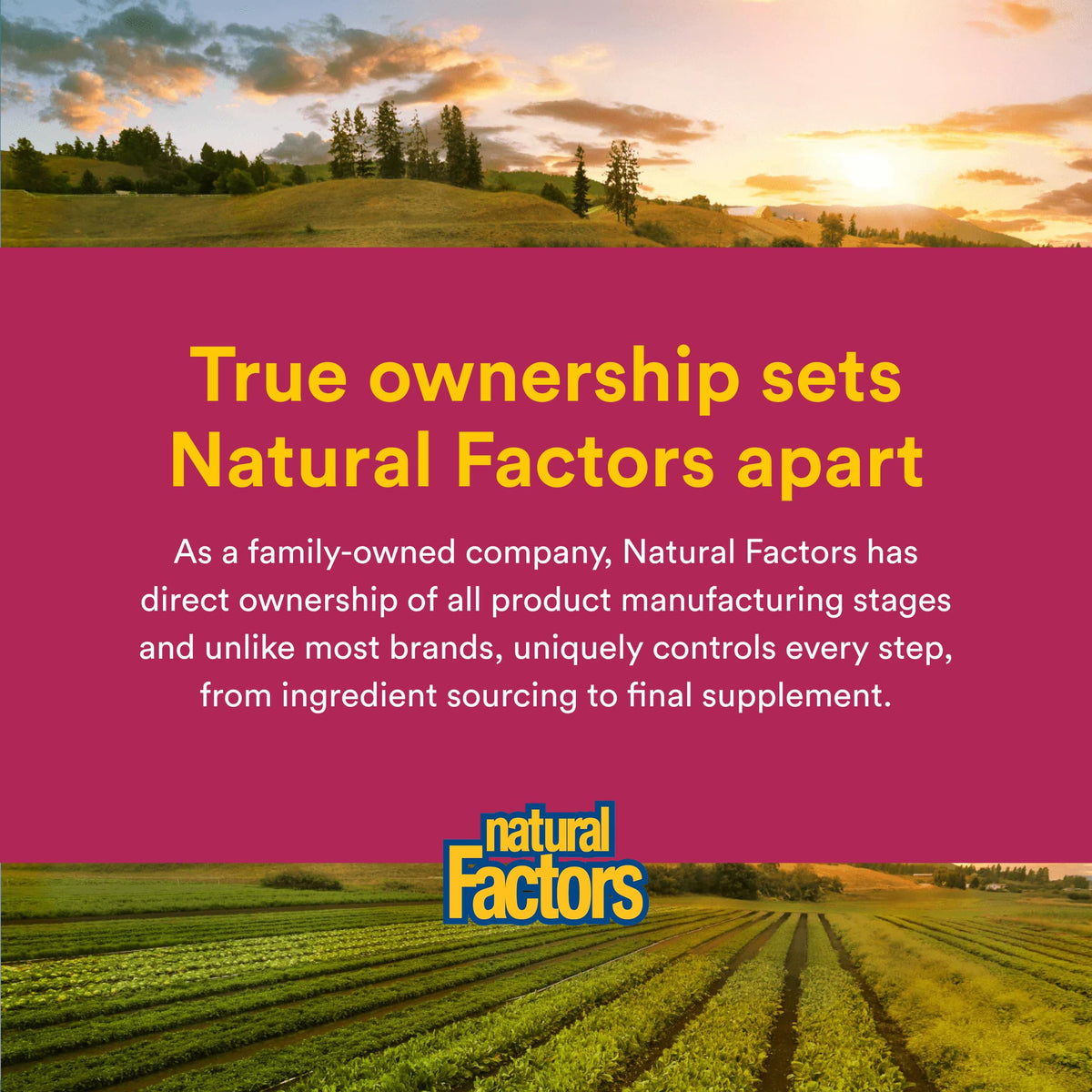 Natural Factors Whole Earth & Sea Women’s Once Daily Multivitamin & Mineral - Whole-Food Formula with Iron, Methylated B12, Folate, Vitamin D3, K2, Biotin & More - 60 Vegetarian Capsules (60 Servings)