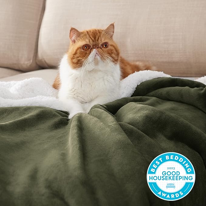 Bedsure Sherpa Fleece Throw Blanket for Couch - Thick and Warm, Soft Fuzzy Plush Throw Blanket for Winter, Olive Green, 50x60 Inches