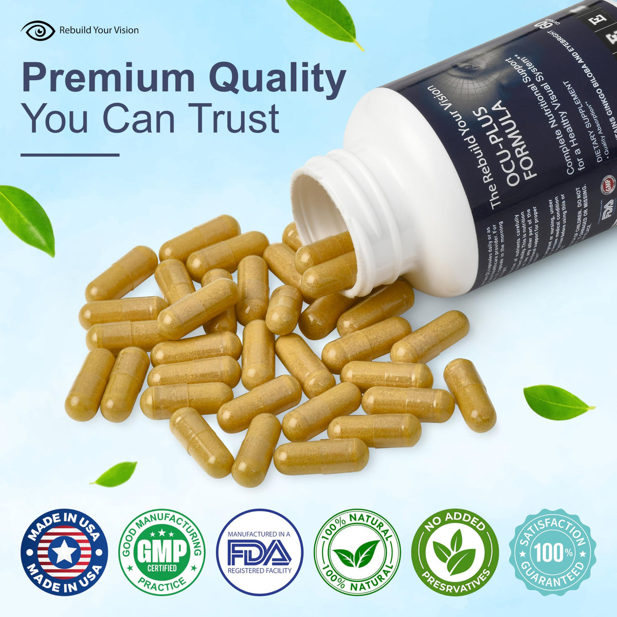 Rebuild Your Vision Ocu-Plus Formula – Eye Health Supplement with Lutein & Zeaxanthin – Supports Visual Clarity, Night Vision & Macular Health – with Bilberry, Ginkgo Biloba & NAC – 60 Capsules