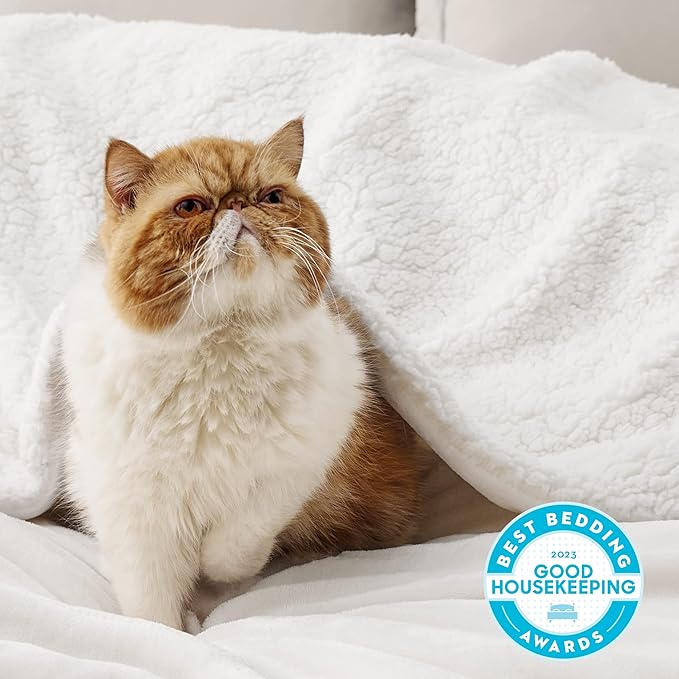 Bedsure Sherpa Fleece Throw Blanket Twin Size for Couch - Thick and Warm, Soft Fuzzy Plush Twin Blanket for Winter, White, 60x80 Inches