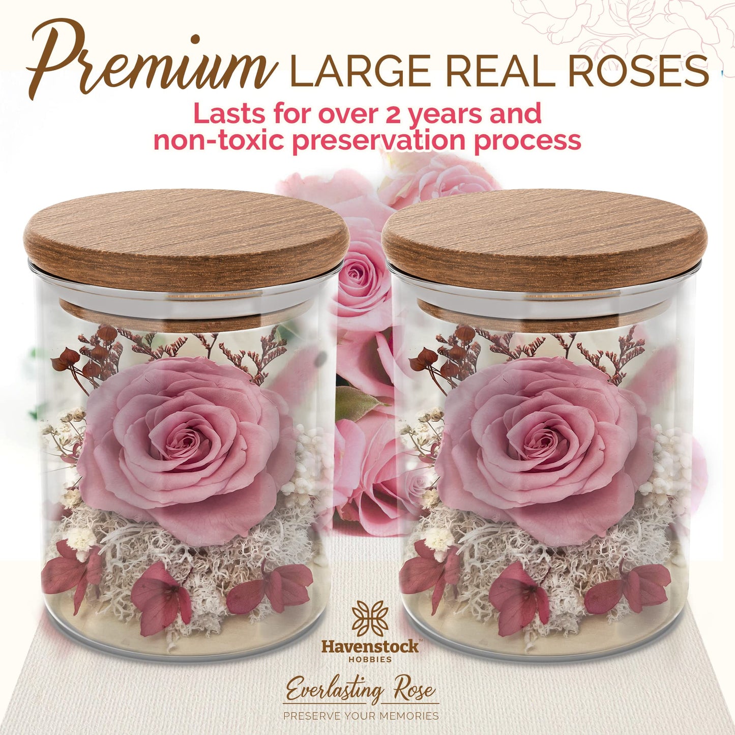 Havenstock Pink Rose in a Glass Dome - Premium Real Roses That Last a Year or More - Mother's Day Unique Gifts for Her Preserved Roses - Forever Flower Decor Preserved Flowers - Eternal Rose Display