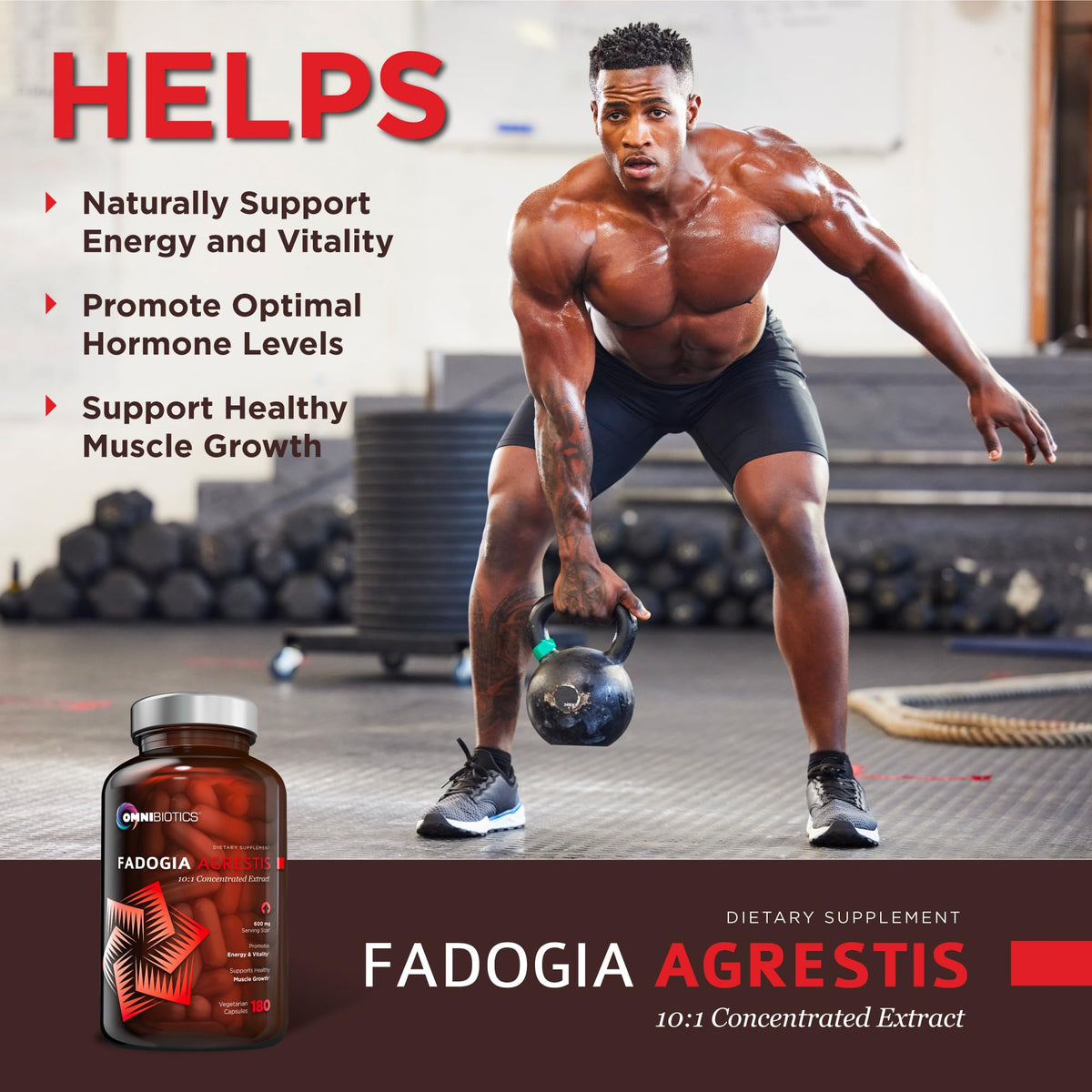 OmniBiotics Fadogia Agrestis 600mg Per Serving (180 Capsules) - 100% Standardized 10:1 Extract Supplement for Muscle Growth & Recovery, Increase Energy, Athletic Performance (90 Days)