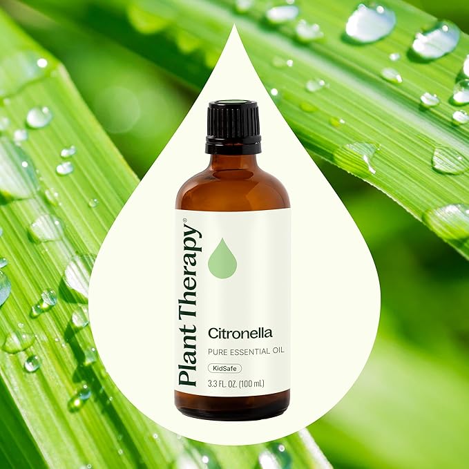 Plant Therapy Citronella Essential Oil 100 mL (3.3 oz) 100% Pure, Undiluted, Citronella Oil for Aromatherapy, Diffuser, Candle Making, Skin Care, Outdoors, Therapeutic Grade