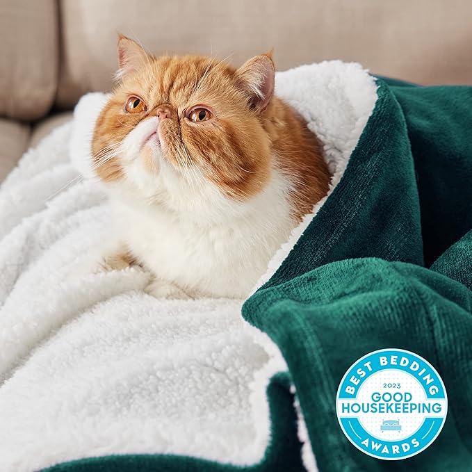 Bedsure Sherpa Fleece Throw Blanket for Couch - Thick and Warm, Soft Fuzzy Plush Throw Blanket for Winter, Forest Green, 50x60 Inches
