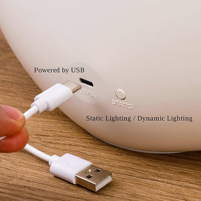 mamre Northern Lights Night Light Touch Dimmable Creative Valentine Christmas Birthday Gift for Him/Her
