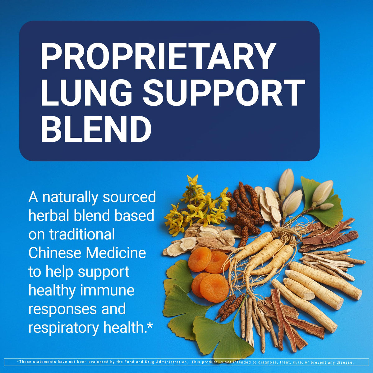 U.S. Doctors' Clinical Lung Support Supplement - 12 Chinese Herbs, Vitamin A, C, Magnesium & Zinc - Respiratory & Immune Health Support - for Breathing Comfort* - Non-GMO, Gluten Free - 60 Capsules