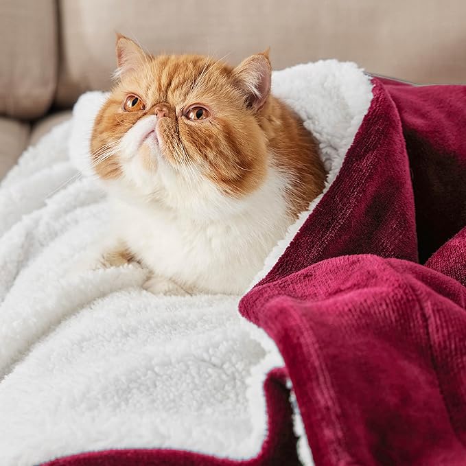 Bedsure Sherpa Fleece Blankets Queen Size for Bed - Thick and Warm, Soft Fuzzy Plush Queen Blanket for Winter, Red, 90x90 Inches