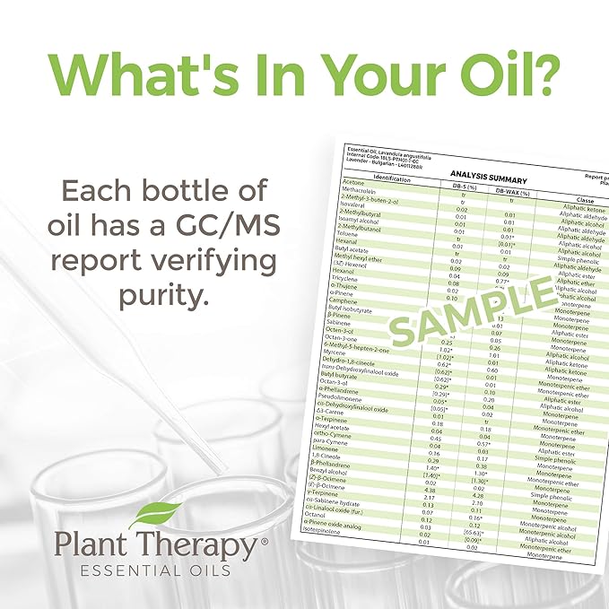 Plant Therapy Brain Aid Essential Oil Blend for Focus & Attention 100% Pure, Pre-Diluted, Natural Aromatherapy, Therapeutic Grade 10 mL (1/3 oz)