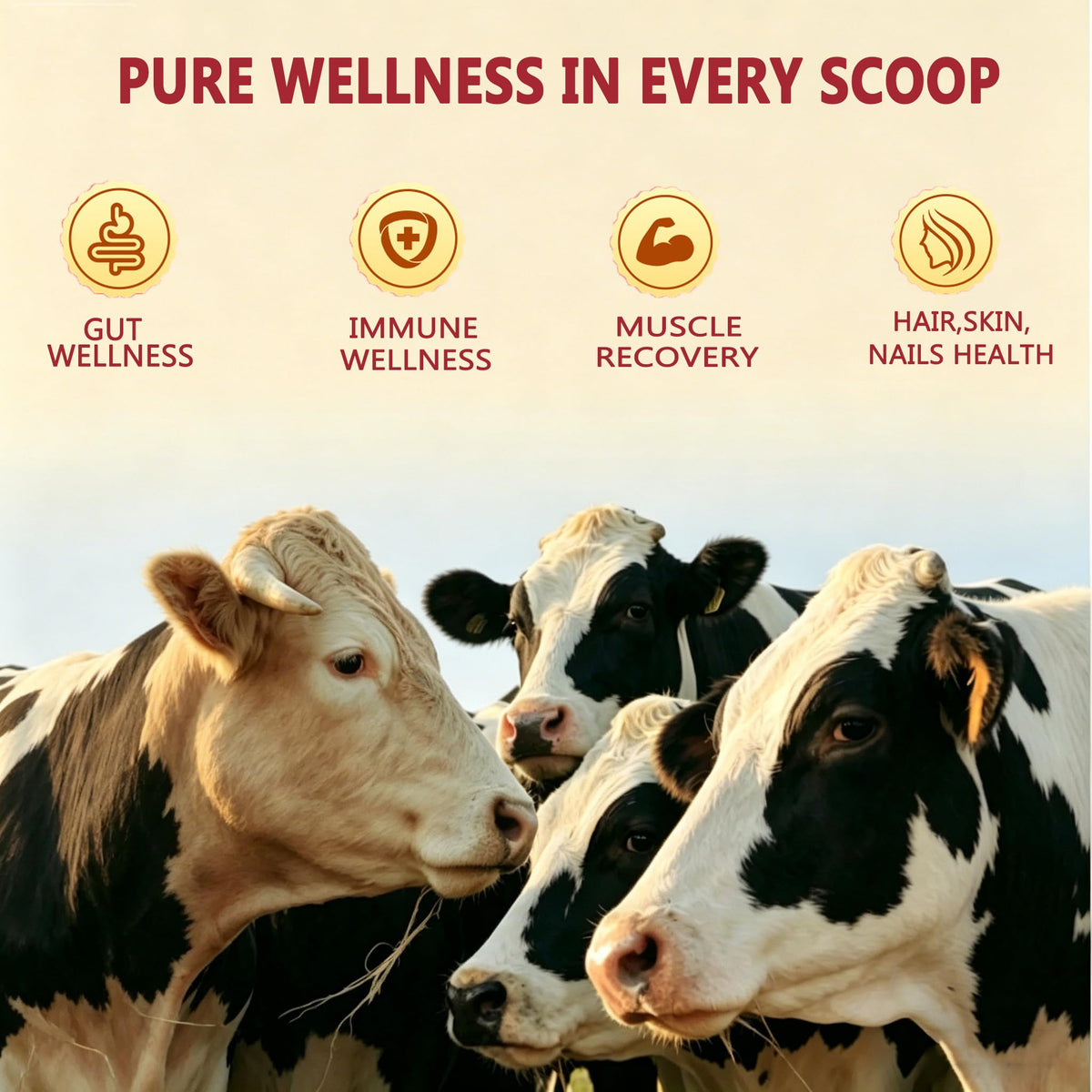 JUYIHEAL Core Bovine Colostrum Gummies, 1g Per Serving Grass Fed Colostrum Chews Colostrum Supplement for Gut Health, Hair Growth, Beauty, and Immune Support, Strawberry Flavor 60 Servings