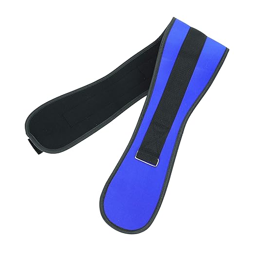 Back Support Lumbar Support Belt Lower Back Brace for Pain Relief Sciatica Herniated Disc Scoliosis Posture Correction Adjustable Mesh Support Straps for Men Women Fitness Waist Protection (Blue, M)