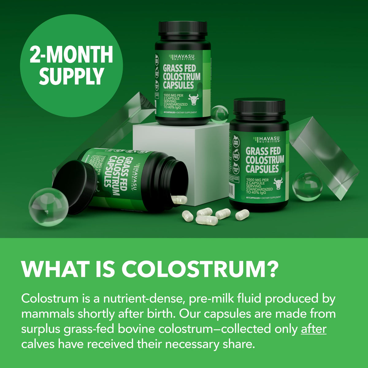 Grass Fed Colostrum Supplement for Immune and Gut Health - 1000mg Bovine Colostrum per Serving with 40% IgG - 120 Count - Non-GMO, Gluten-Free Colostrum Capsules for Adults - 60 Day Supply