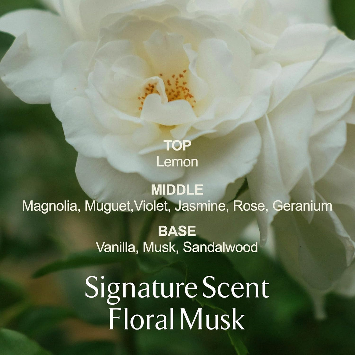 LA MUSE Perfume Body Lotion for Women(Floral Musk) | Body Cream for Women, Dry Skin with Shea Butter, Peptide | Softens & Comforts Sensitive Skin with Silky Smooth Finish, Non-Sticky | 10.14 fl oz