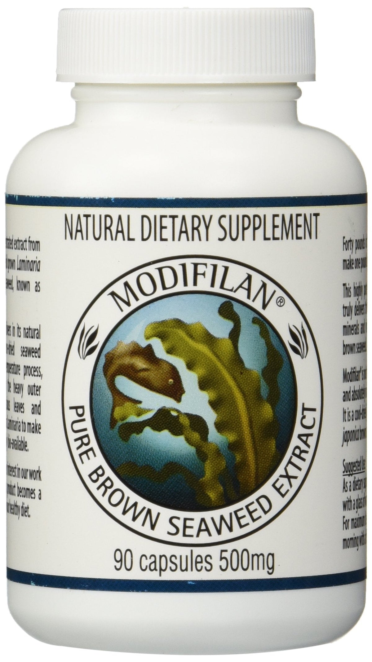 Modifilan 90 Capsules (Pack of 6)
