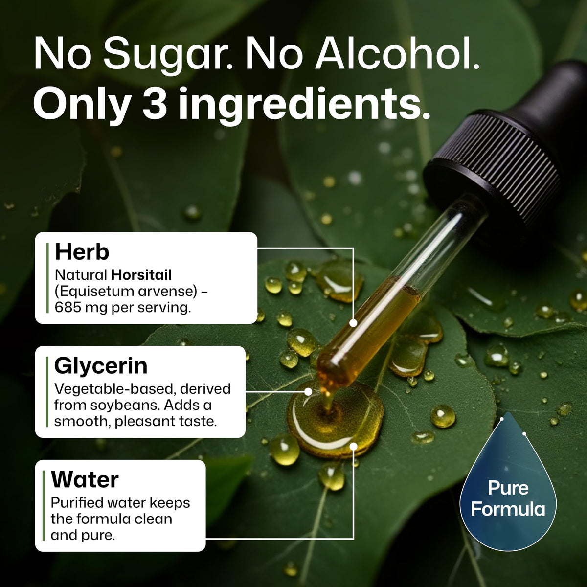 BIO KRAUTER® Horsetail Supplement for Hair, Skin & Nails - Vegan & Pure Horsetail Herb Liquid Drops 660 mg per Serving 4 Fl.Oz. - Silica Hair Supplement - Alcohol & Sugar Free - 56 Days of Supply