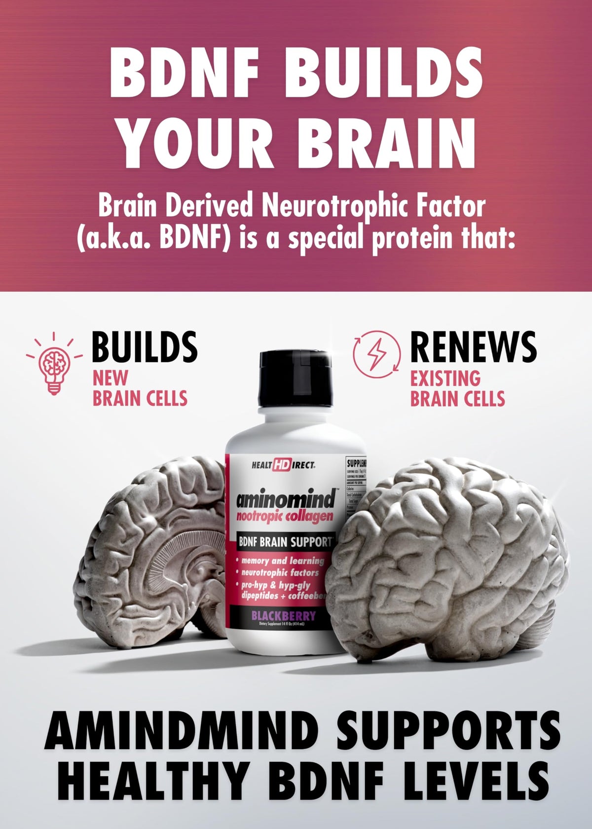 HEALTH DIRECT - AminoMind - Nootropic Collagen Supplement for Brain Health and BDNF - Pro-Hyp & Hyp-Gly Dipeptides, Coffeeberry Antioxidants - BlackBerry - 14 Fl Oz (28 Servings)