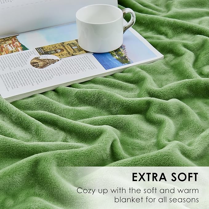 SOCHOW Flannel Fleece Blanket Twin Size, All Season Super Soft Cozy Blanket for Bed or Couch, Sage Green, 60x80 inches