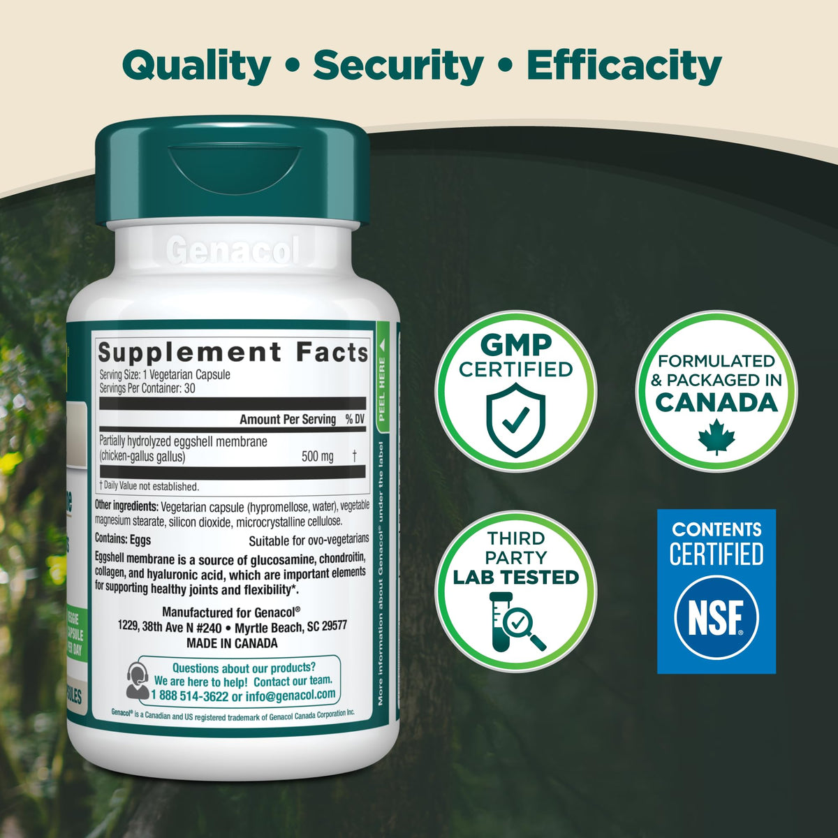 Genacol Ovoflex – Natural Eggshell Membrane Supplement, Support Healthy Joints & Flexibility, Vegetarian Solution for Joint Care, Results in 7 Days, 30 Capsules (30-Day Supply)