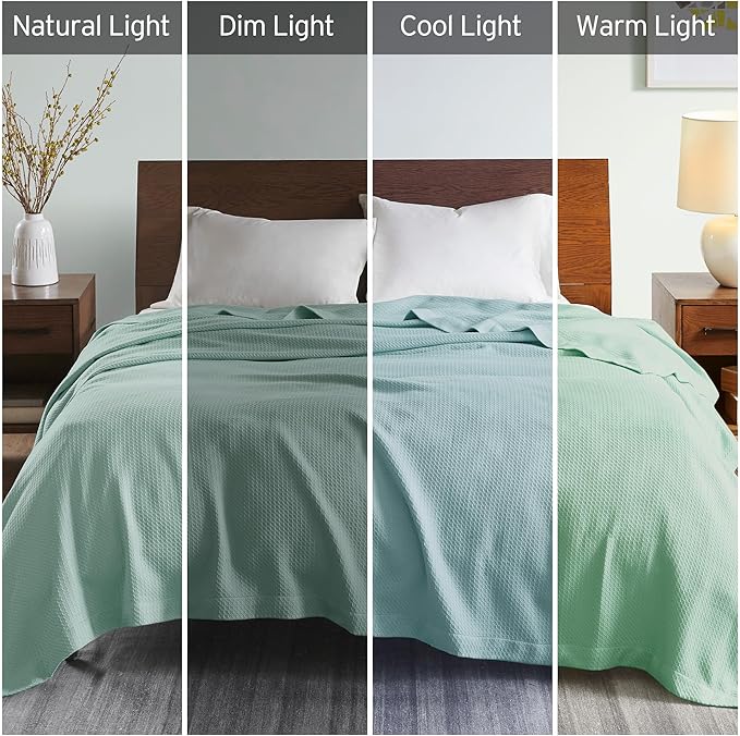 Madison Park Soft Certified 100% Egyptian Cotton Breathable Cozy Blanket, Premium Waffle Knit Classic Design, Luxury All Season Lightweight Cover for Bed, Couch and Sofa, Seafoam Twin(66"x90")