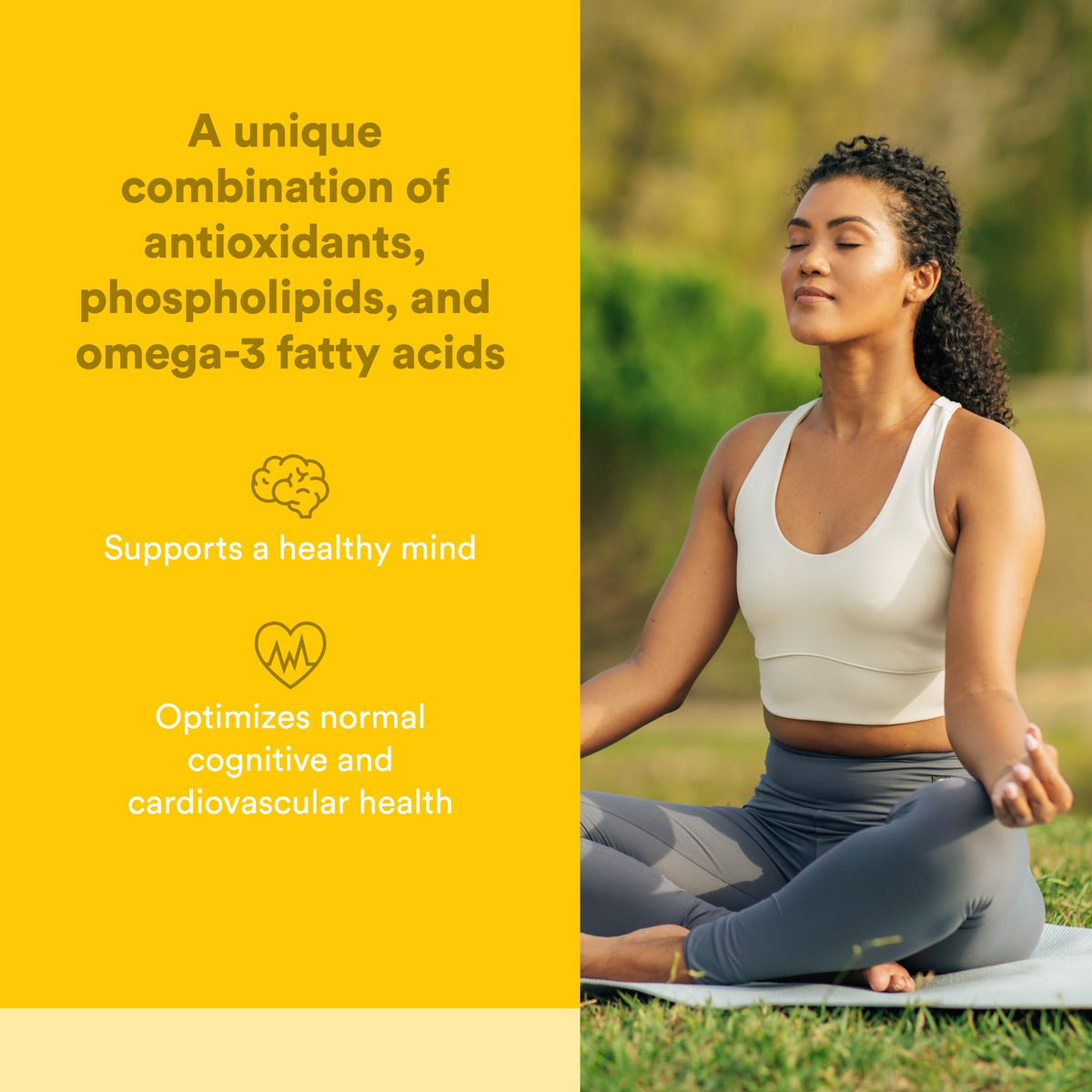 Natural Factors Higher Thoughts - Supports Cognitive & Cardiovascular Health* - Fish Oil, Fatty Acids, EPA, DHA & More - 90 Softgels