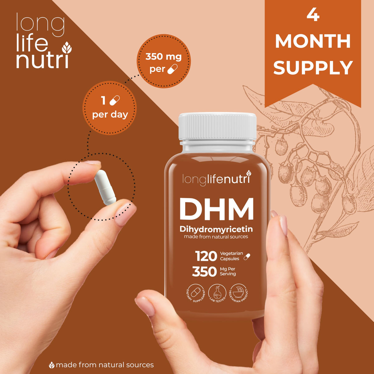 DHM (Dihydromyricetin) 350mg - Dervied from Ampelopsis Grossedentata, 120 Vegetarian Capsules, Organic Supplement for Daily Detox & Energy Balance, 4-Month Supply, GMP Certified, Made in USA