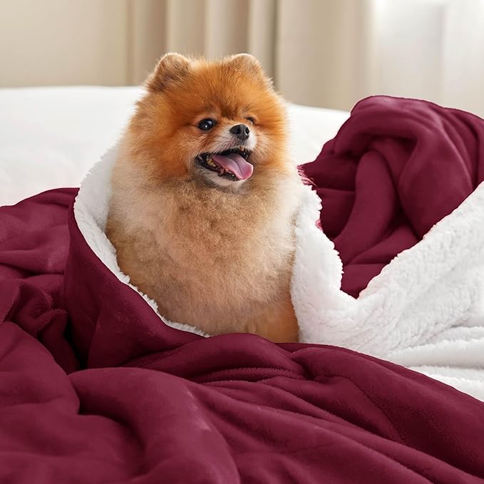 Bedsure Sherpa Fleece Throw Blanket for Couch - Thick and Warm, Soft Fuzzy Plush Throw Blanket for Winter, Winery Red, 50x60 Inches