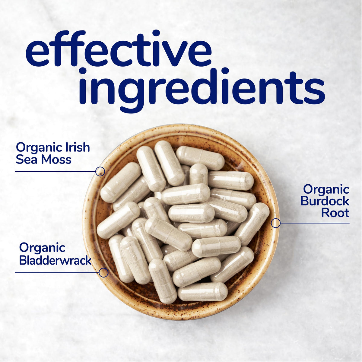 Her Own Irish Sea Moss Capsules, Burdock Root, Bladderwrack, Detox, Metabolism, Immune Support, Skin Health, Natural Joint Support, Nutrient Rich Superfood High in Minerals, 60 Count