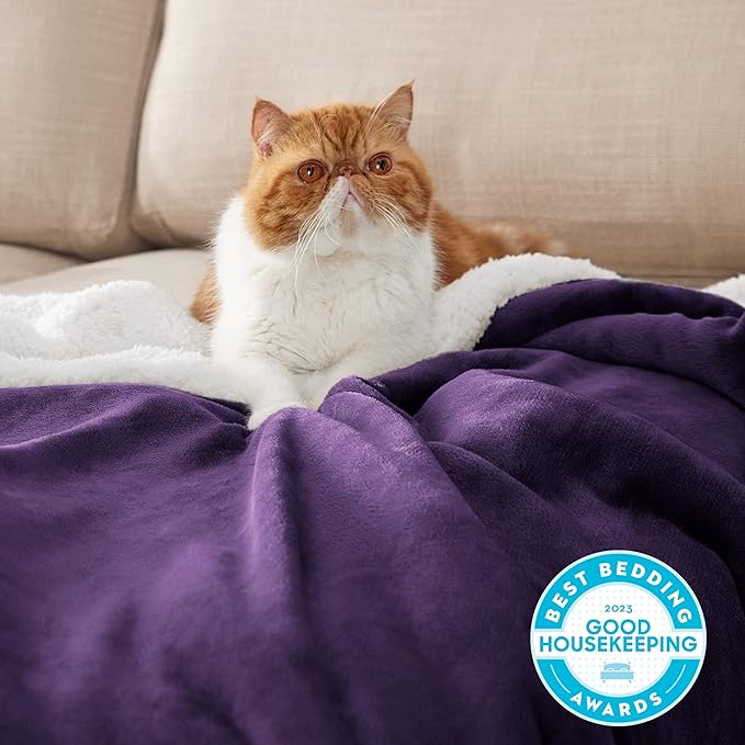 Bedsure Sherpa Fleece Throw Blanket for Couch - Thick and Warm, Soft Fuzzy Plush Throw Blanket for Winter, Purple, 50x60 Inches