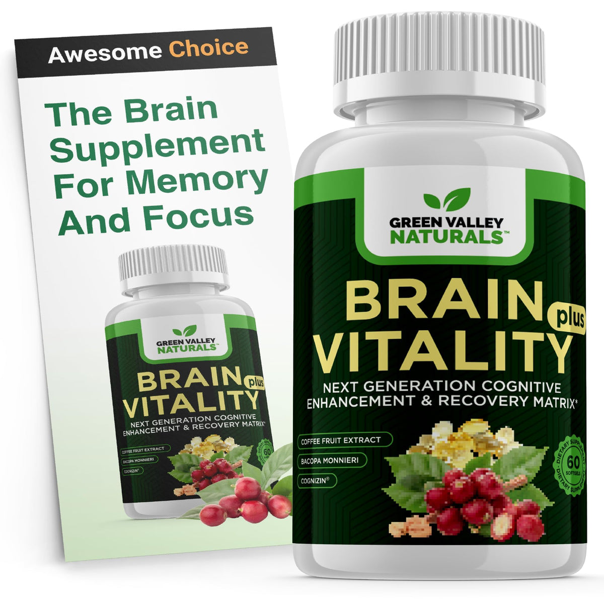 Green Valley Naturals Brain Vitality Plus with Cognizin & DHA – 60 Softgels
