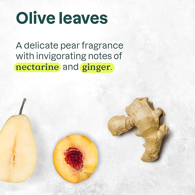 Bundle of ATTITUDE 3 Plastic-Free Deodorants, EWG Verified, Aluminum-Free, Dermatologically Tested, Plant and Mineral-Based, Vegan, 3 Ounces, Unscented + White Tea Leaves + Olive Leaves